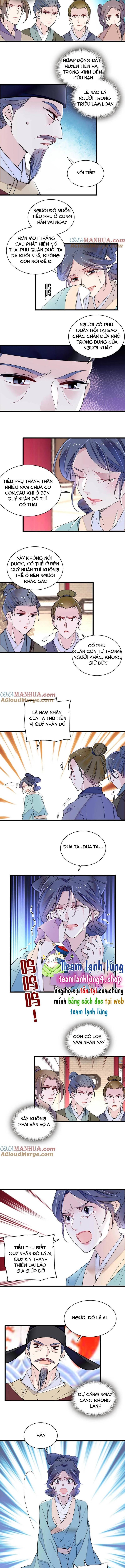 Tự Cẩm Chapter 249 - Trang 2