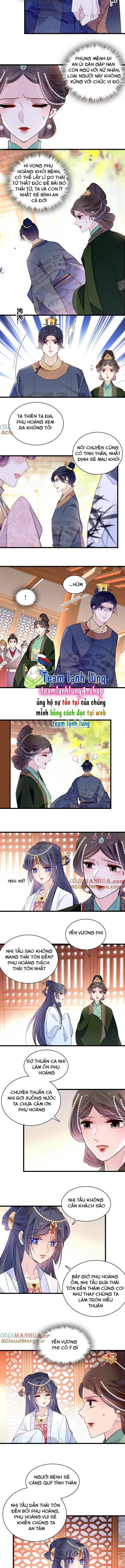 Tự Cẩm Chapter 251 - Trang 2