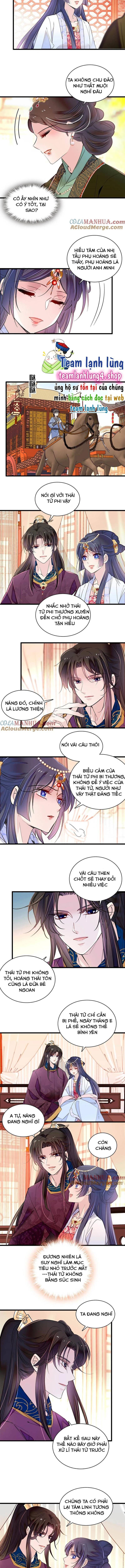 Tự Cẩm Chapter 251 - Trang 2