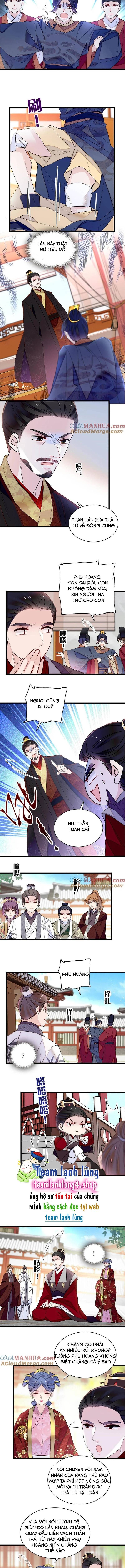 Tự Cẩm Chapter 253 - Trang 2