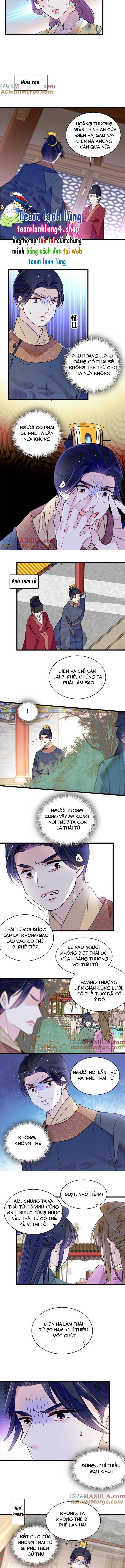 Tự Cẩm Chapter 253 - Trang 2