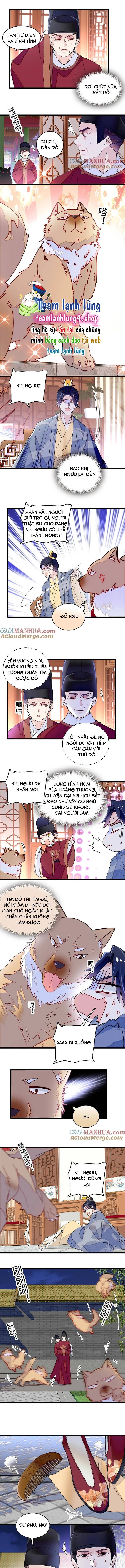 Tự Cẩm Chapter 257 - Trang 2