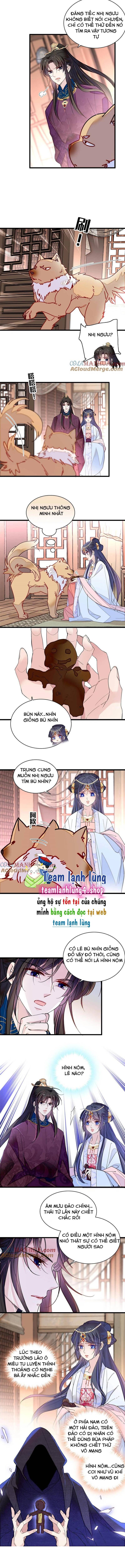 Tự Cẩm Chapter 258 - Trang 2