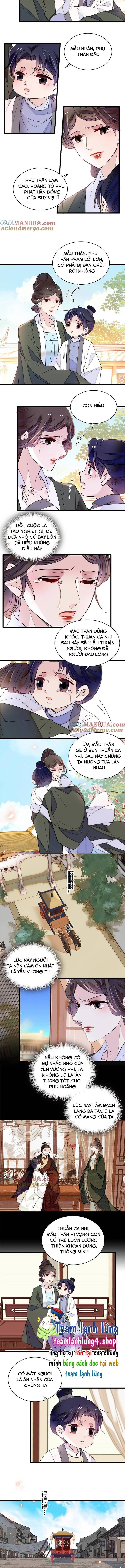 Tự Cẩm Chapter 259 - Trang 2