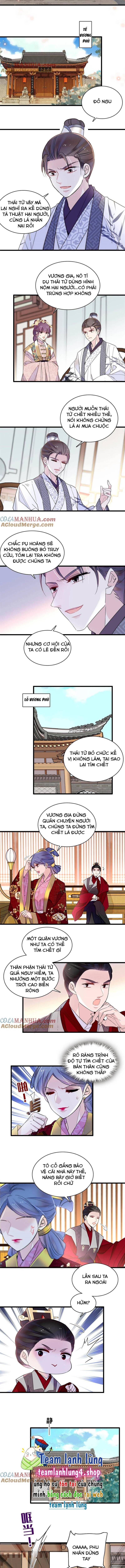 Tự Cẩm Chapter 259 - Trang 2