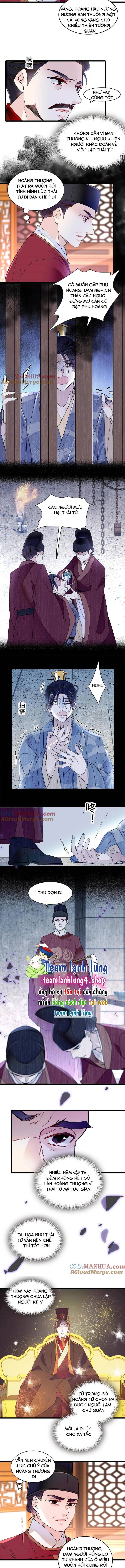 Tự Cẩm Chapter 260 - Trang 2