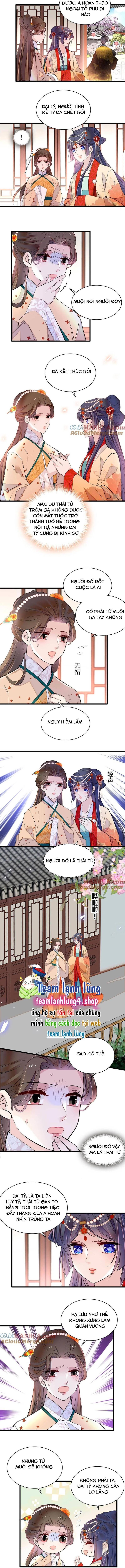 Tự Cẩm Chapter 261 - Trang 2