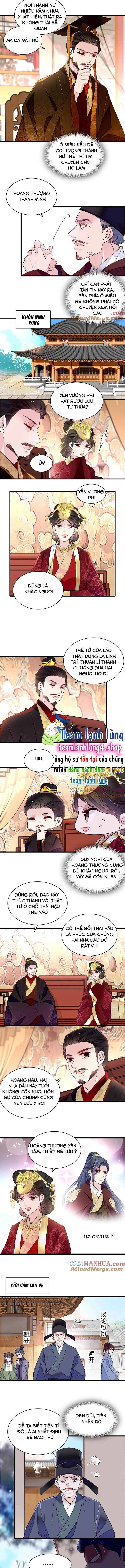 Tự Cẩm Chapter 263 - Trang 2