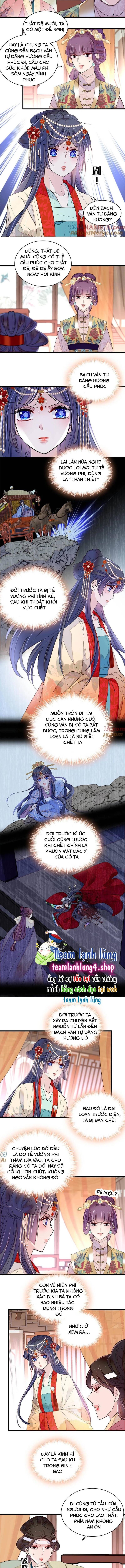 Tự Cẩm Chapter 267 - Trang 2