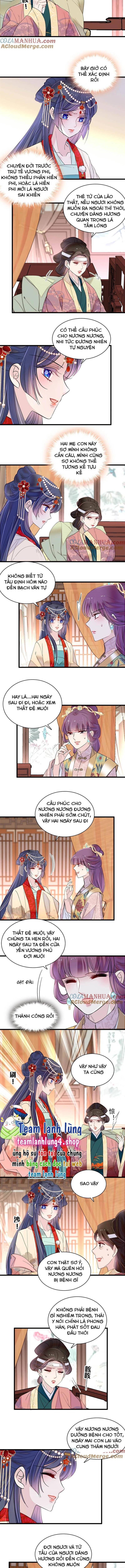 Tự Cẩm Chapter 267 - Trang 2