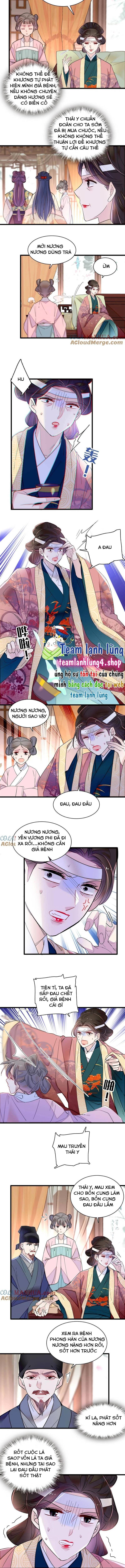 Tự Cẩm Chapter 267 - Trang 2