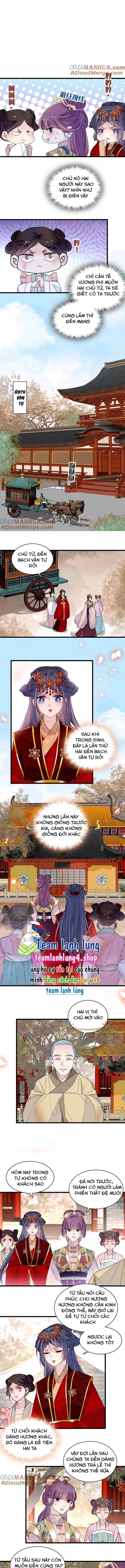 Tự Cẩm Chapter 269 - Trang 2