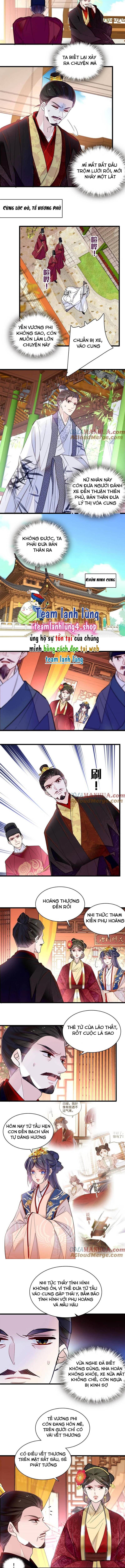 Tự Cẩm Chapter 272 - Trang 2