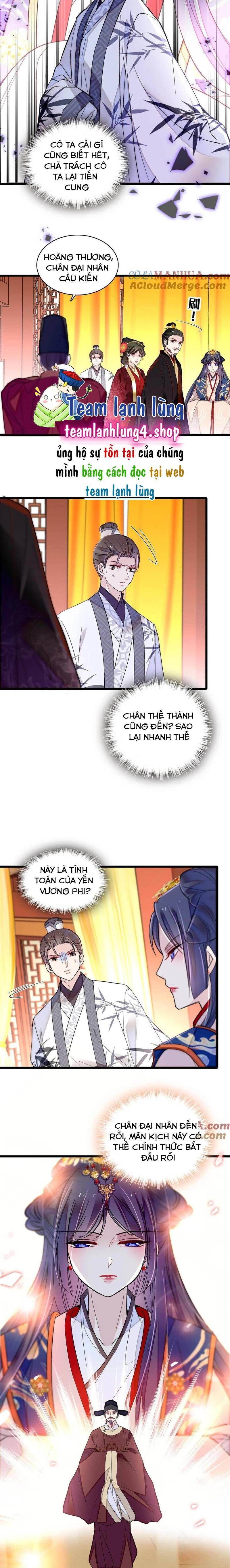 Tự Cẩm Chapter 272 - Trang 2