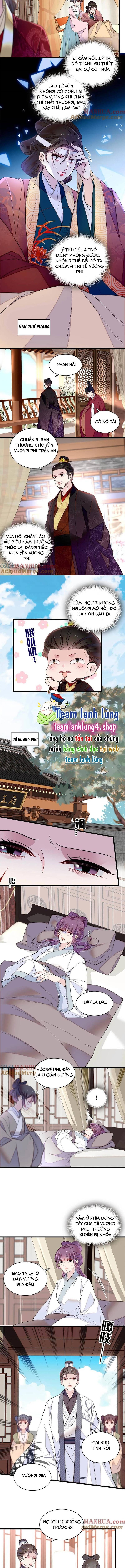 Tự Cẩm Chapter 274 - Trang 2