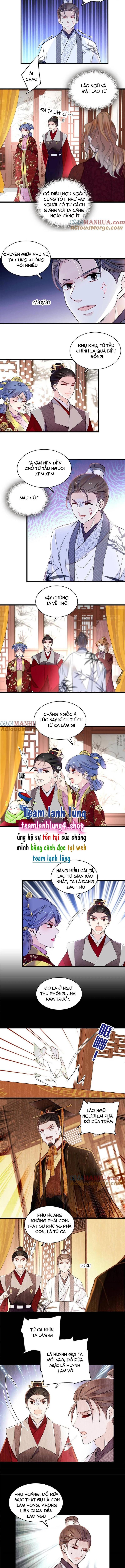 Tự Cẩm Chapter 275 - Trang 2