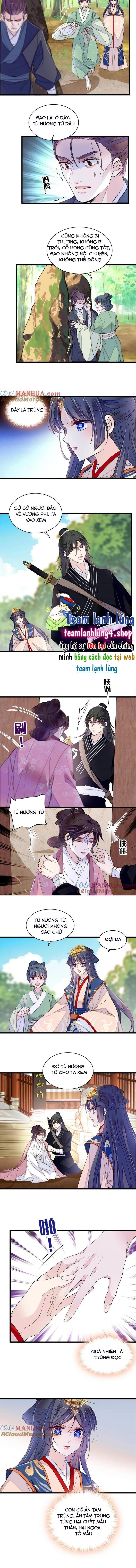 Tự Cẩm Chapter 277 - Trang 2