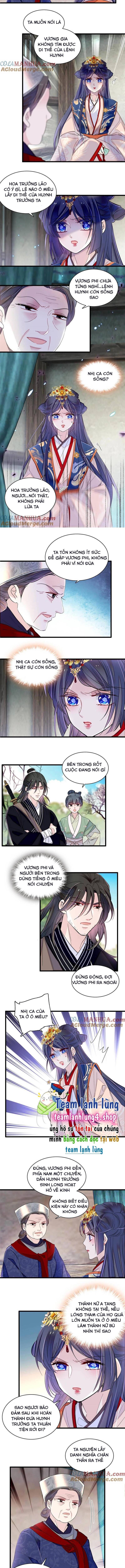 Tự Cẩm Chapter 278 - Trang 2