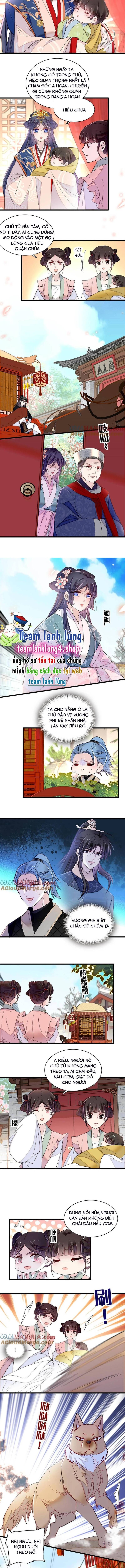 Tự Cẩm Chapter 279 - Trang 2