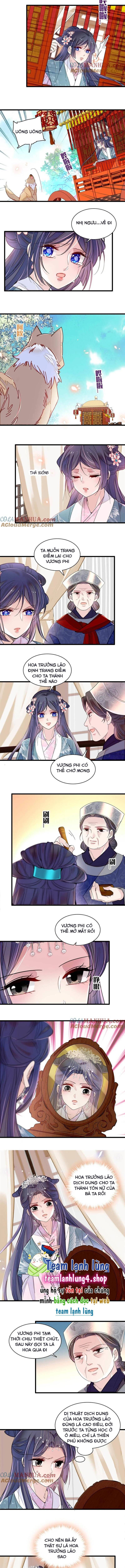 Tự Cẩm Chapter 279 - Trang 2