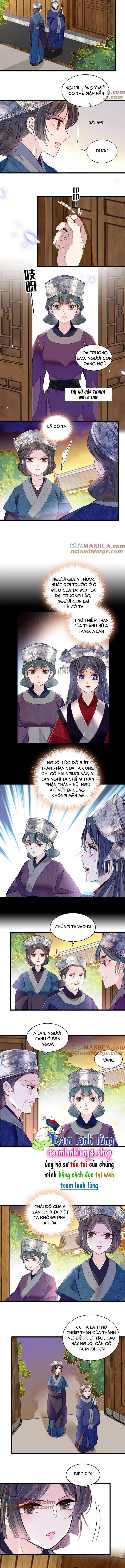 Tự Cẩm Chapter 285 - Trang 2