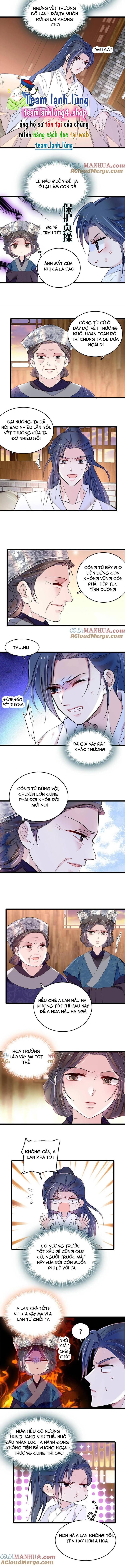 Tự Cẩm Chapter 286 - Trang 2