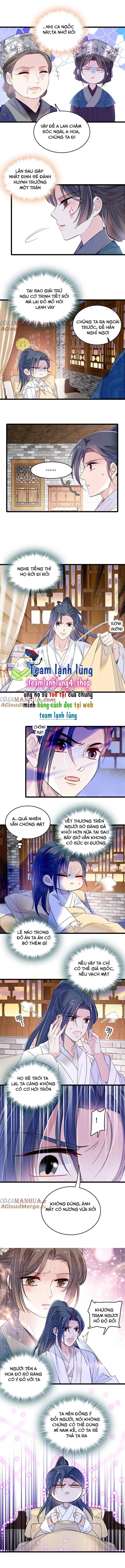 Tự Cẩm Chapter 286 - Trang 2