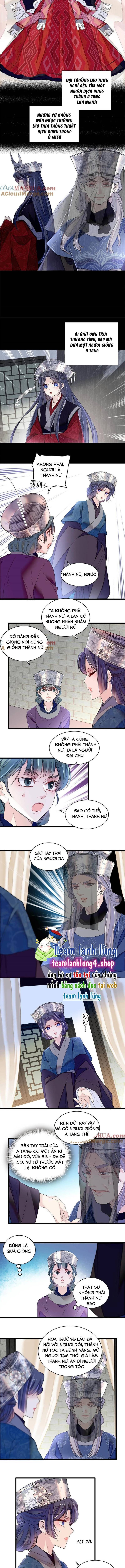 Tự Cẩm Chapter 287 - Trang 2