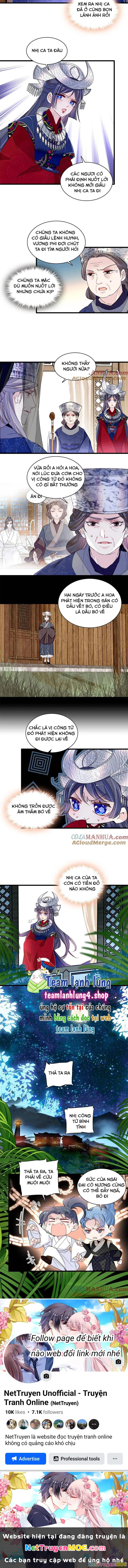 Tự Cẩm Chapter 291 - Trang 2