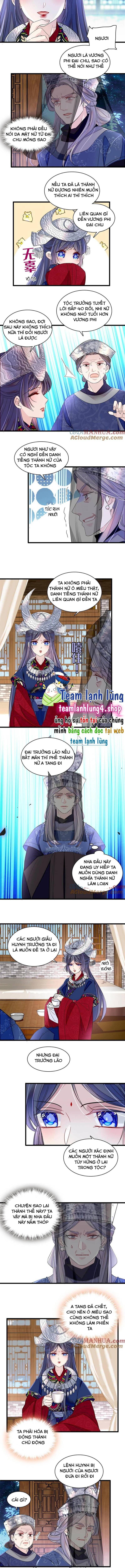 Tự Cẩm Chapter 292 - Trang 2