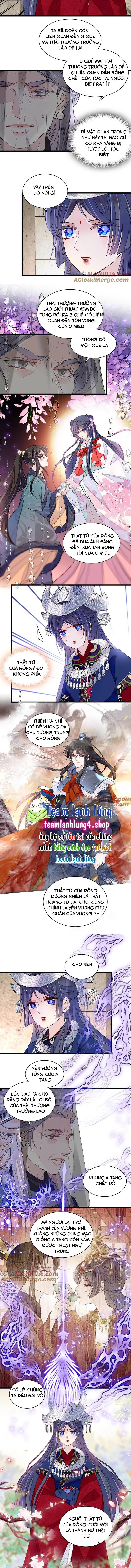 Tự Cẩm Chapter 292 - Trang 2