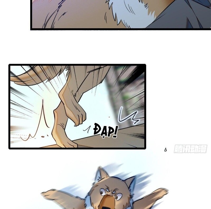 Tự Cẩm Chapter 35 - Trang 2