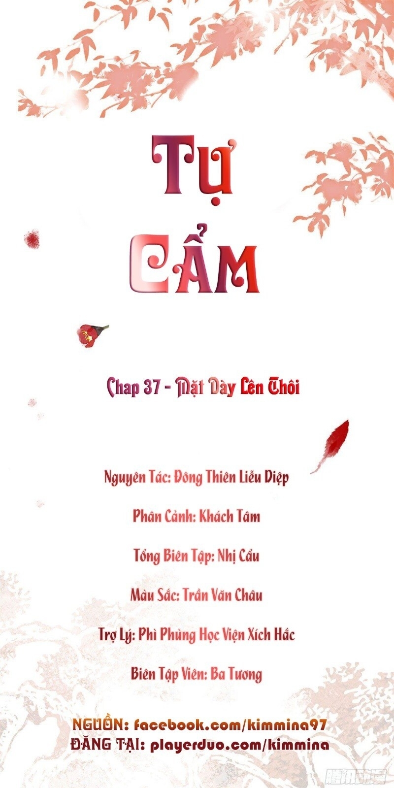 Tự Cẩm Chapter 37 - Trang 2