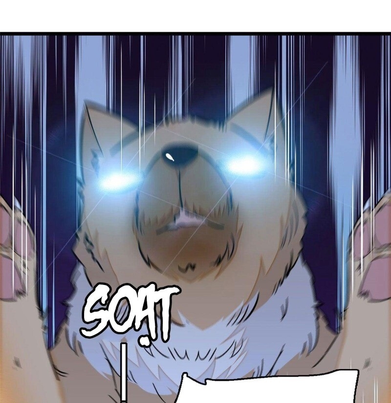 Tự Cẩm Chapter 37 - Trang 2