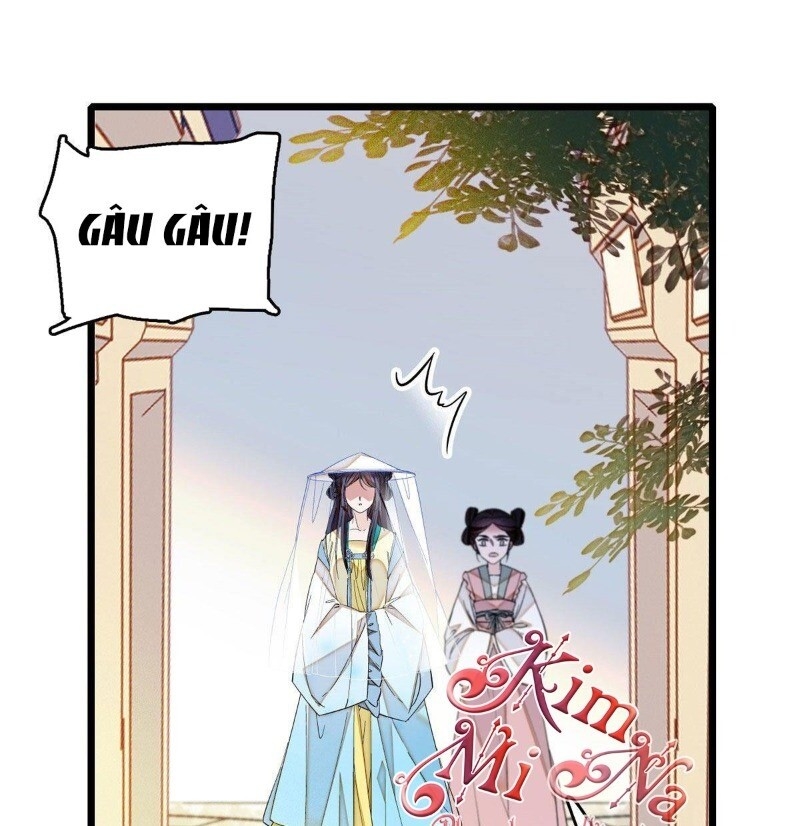 Tự Cẩm Chapter 37 - Trang 2