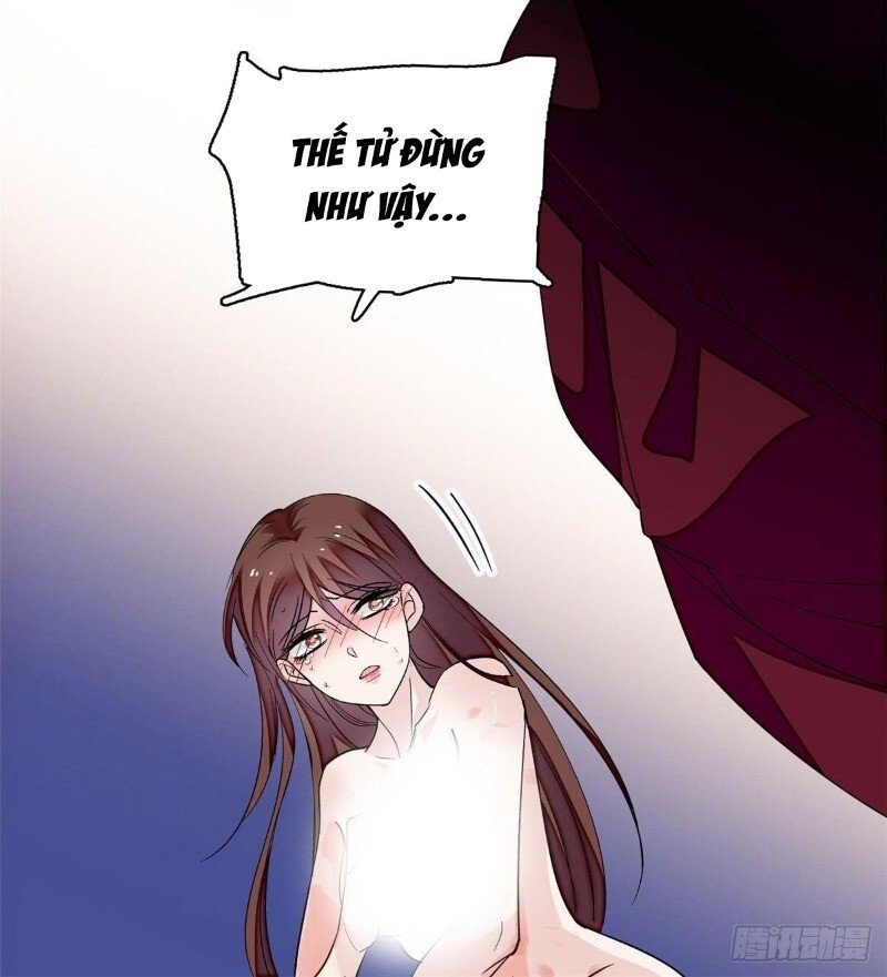 Tự Cẩm Chapter 42 - Trang 2