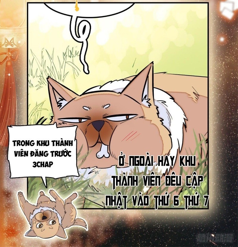 Tự Cẩm Chapter 47 - Trang 2