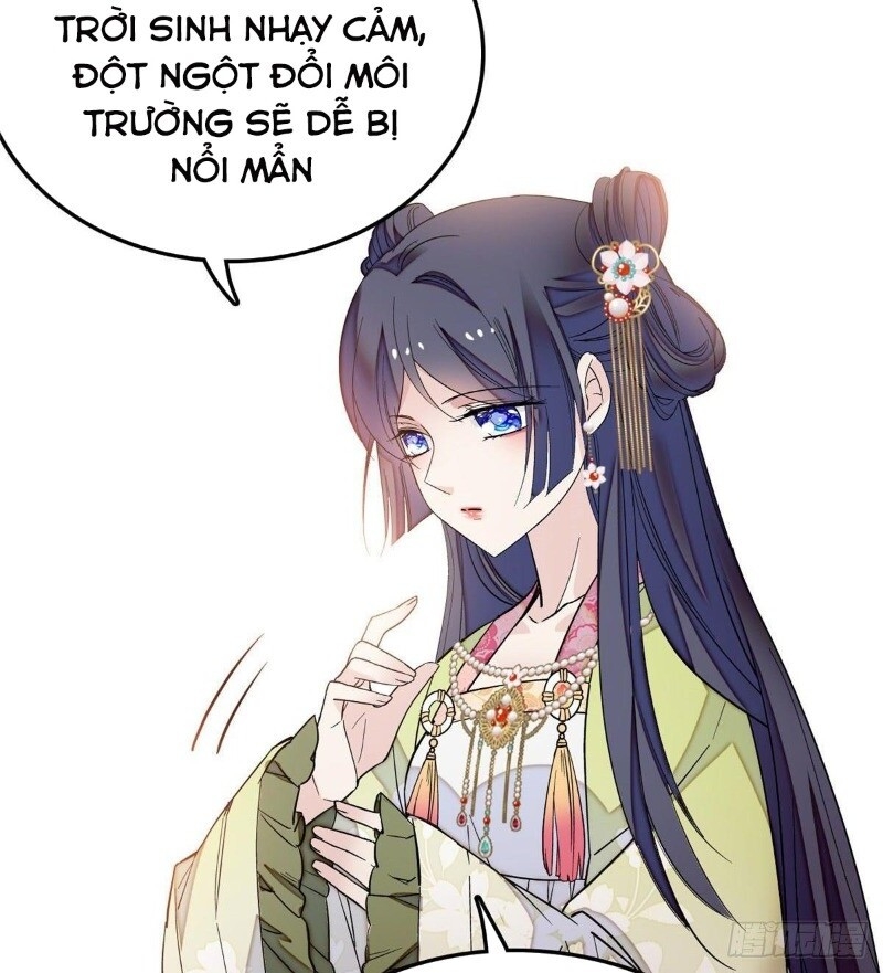 Tự Cẩm Chapter 48 - Trang 2