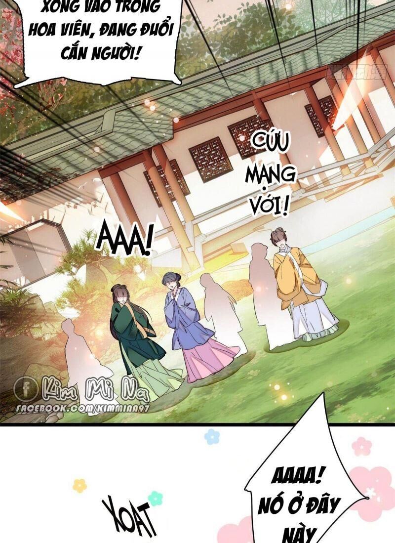 Tự Cẩm Chapter 74 - Trang 2