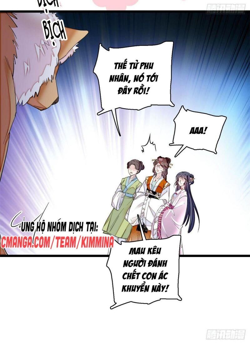 Tự Cẩm Chapter 74 - Trang 2