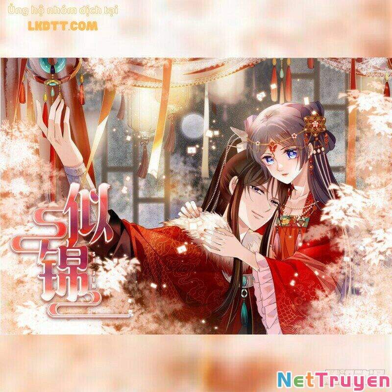 Tự Cẩm Chapter 82 - Trang 2