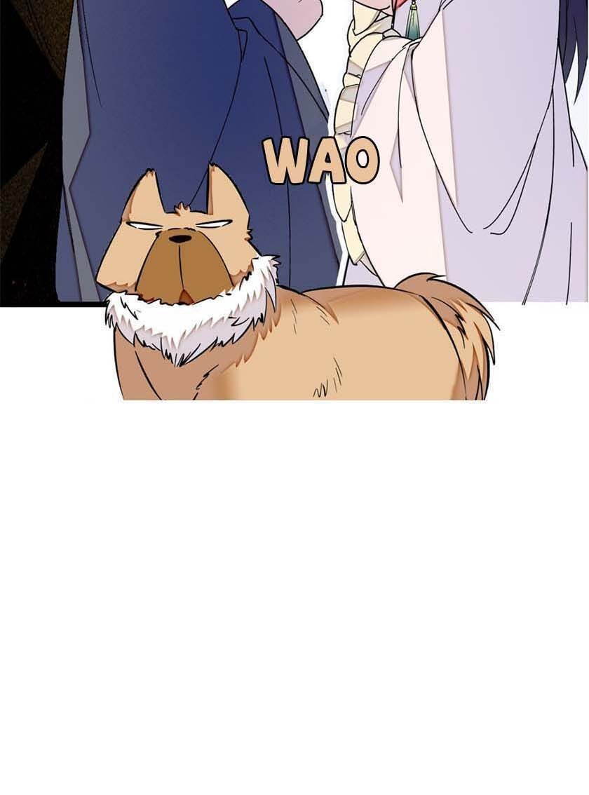 Tự Cẩm Chapter 9 - Trang 2