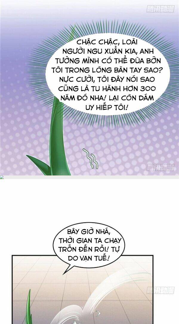 Tu Chân Nói Chuyện Phiếm Quần Chapter 151 - Trang 2