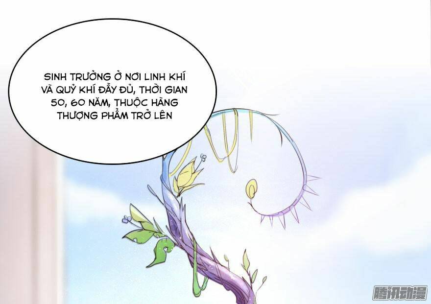 Tu Chân Nói Chuyện Phiếm Quần Chapter 20 - Trang 2