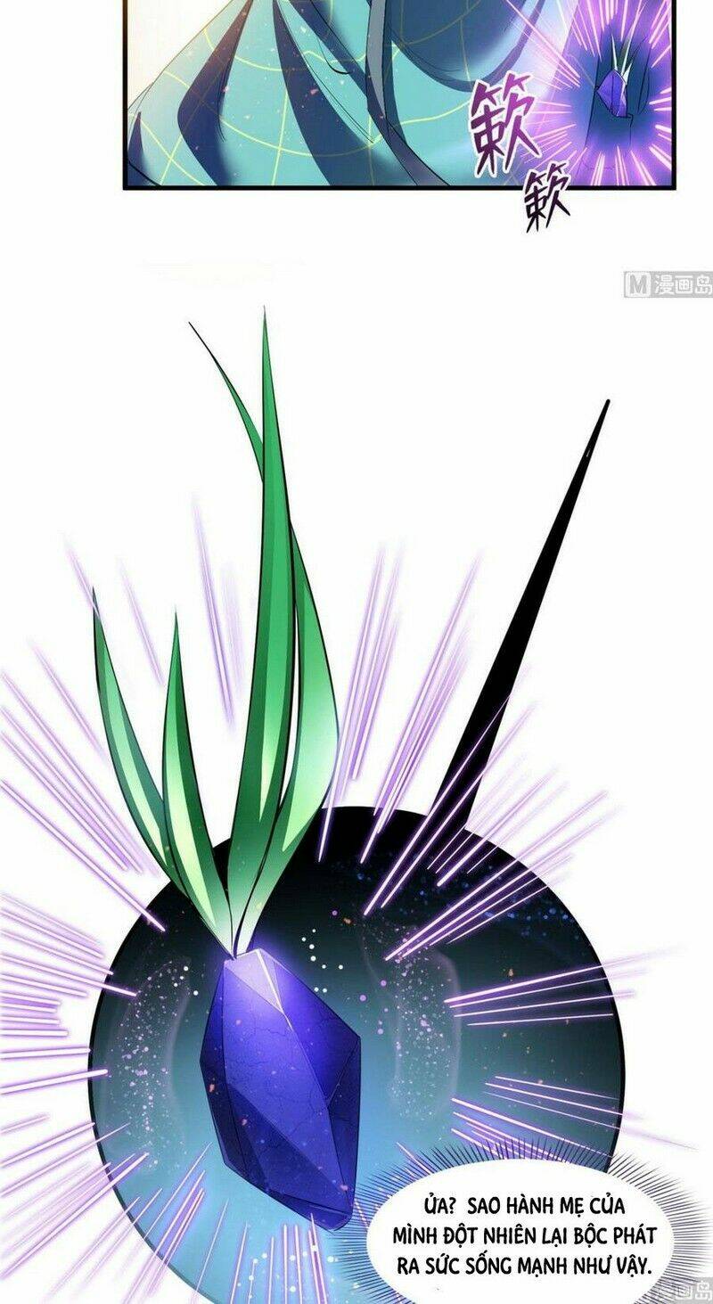 Tu Chân Nói Chuyện Phiếm Quần Chapter 338 - Trang 2