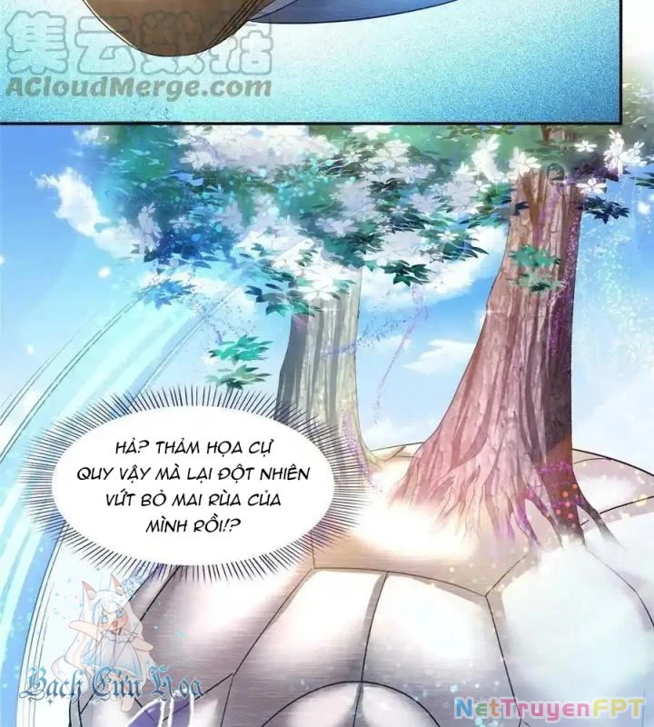 Tu Chân Nói Chuyện Phiếm Quần Chapter 495 - Trang 2