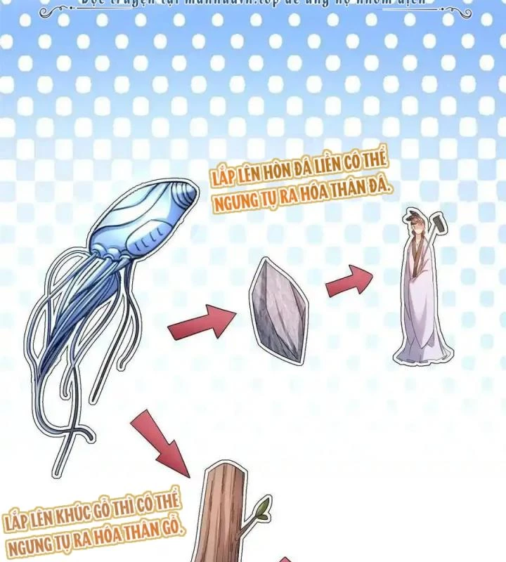 Tu Chân Nói Chuyện Phiếm Quần Chapter 497 - Trang 2