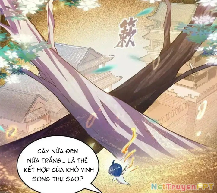 Tu Chân Nói Chuyện Phiếm Quần Chapter 508 - Trang 2