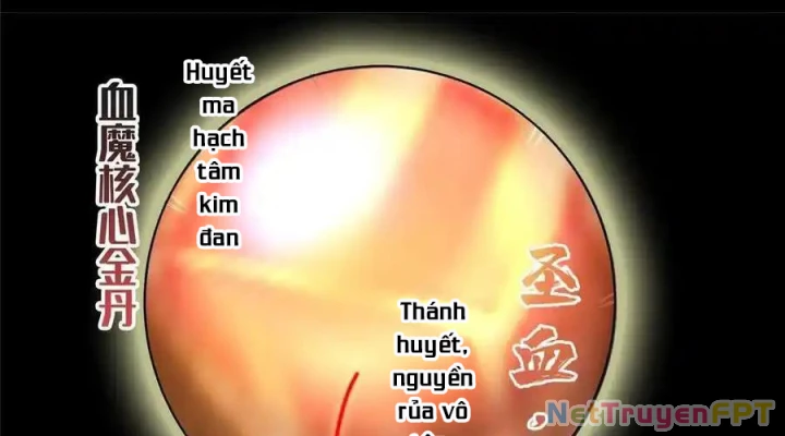 Tu Chân Nói Chuyện Phiếm Quần Chapter 528 - Trang 2