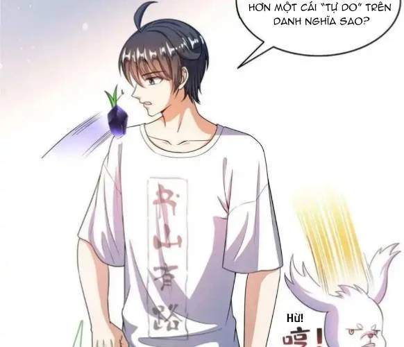 Tu Chân Nói Chuyện Phiếm Quần Chapter 544 - Trang 2